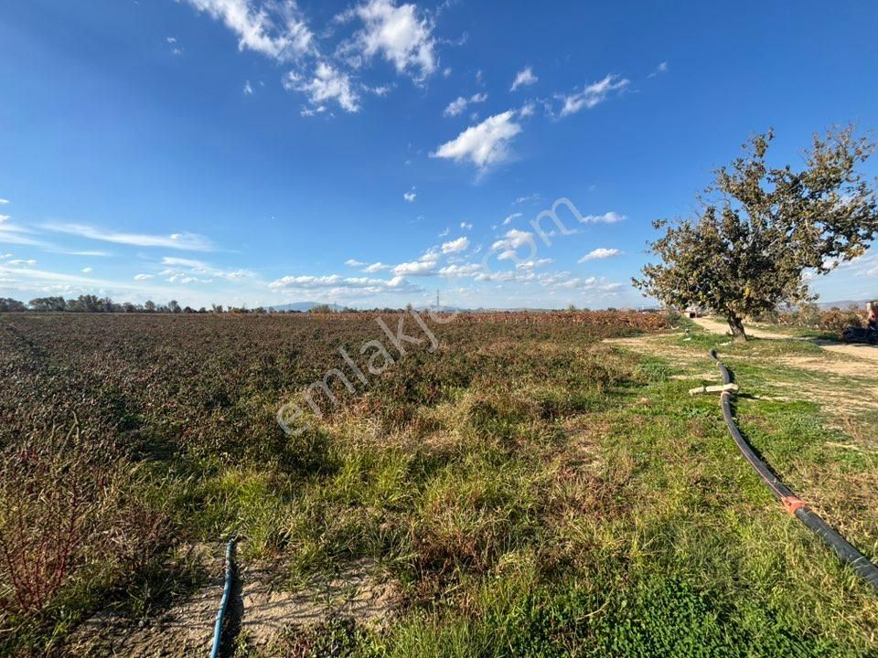 Tc Emlaktan Satılık 10 Dönüm Tarla ! 6 Lık Su - Görsel 21