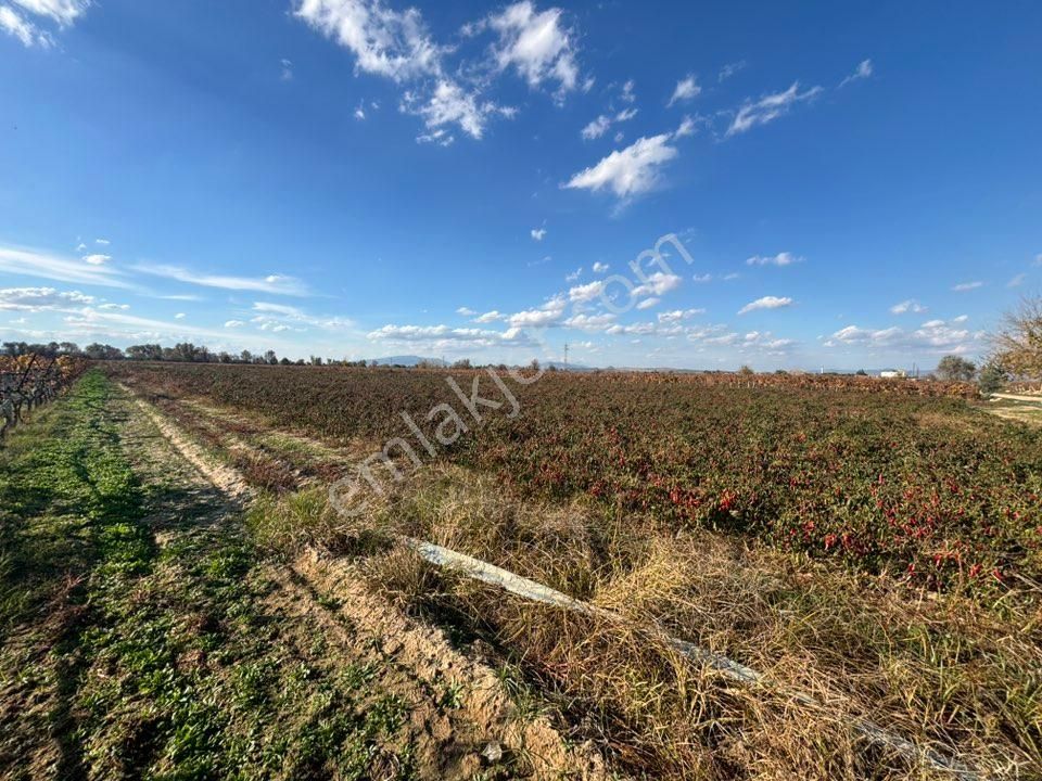 Tc Emlaktan Satılık 10 Dönüm Tarla ! 6 Lık Su - Görsel 18