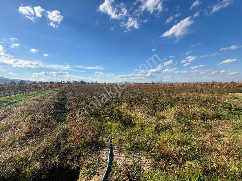 Tc Emlaktan Satılık 10 Dönüm Tarla ! 6 Lık Su - Görsel 15