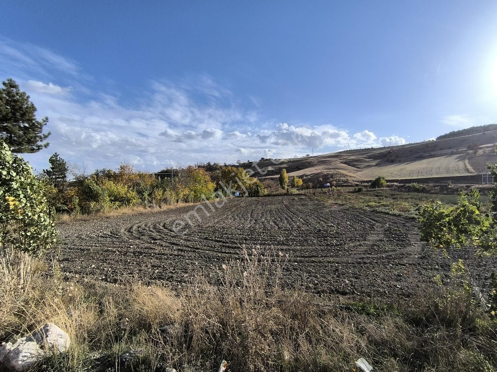 Truva'dan Çorum-merkez Altınbaş'ta Sera Kurmaya Uygun İki Tarla - Görsel 8