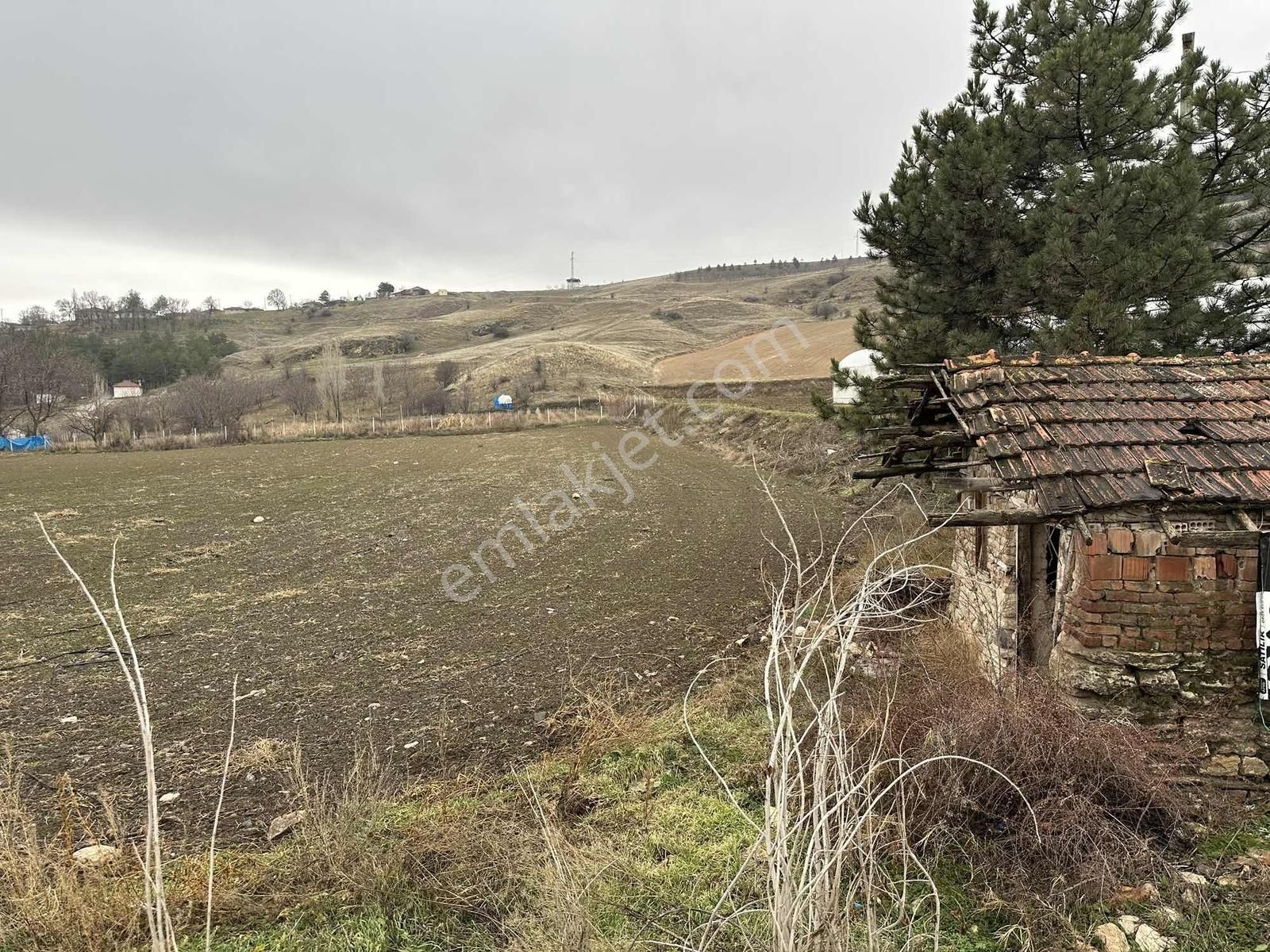 Truva'dan Çorum-merkez Altınbaş'ta Sera Kurmaya Uygun İki Tarla