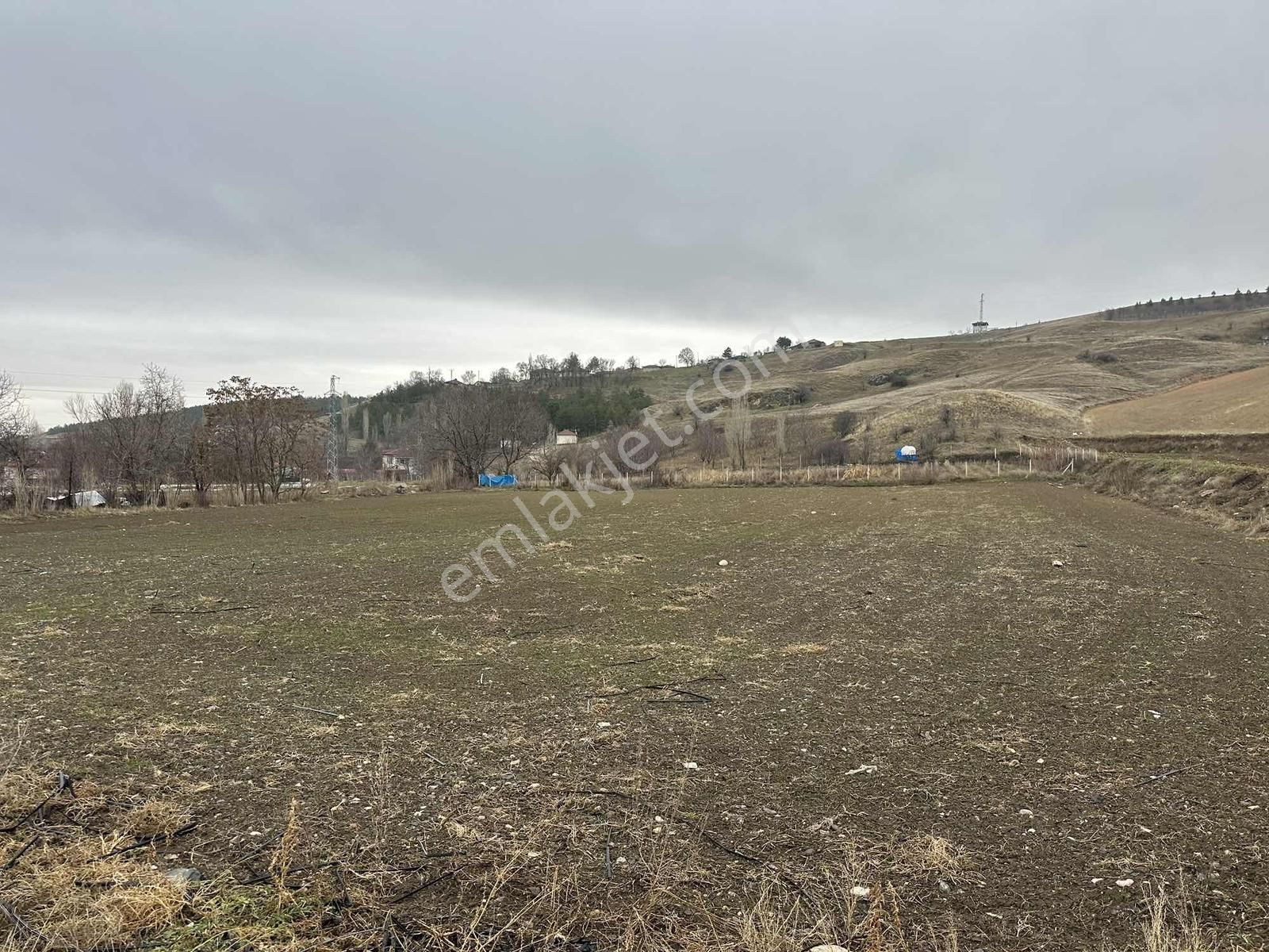 Truva'dan Çorum-merkez Altınbaş'ta Sera Kurmaya Uygun İki Tarla - Görsel 5