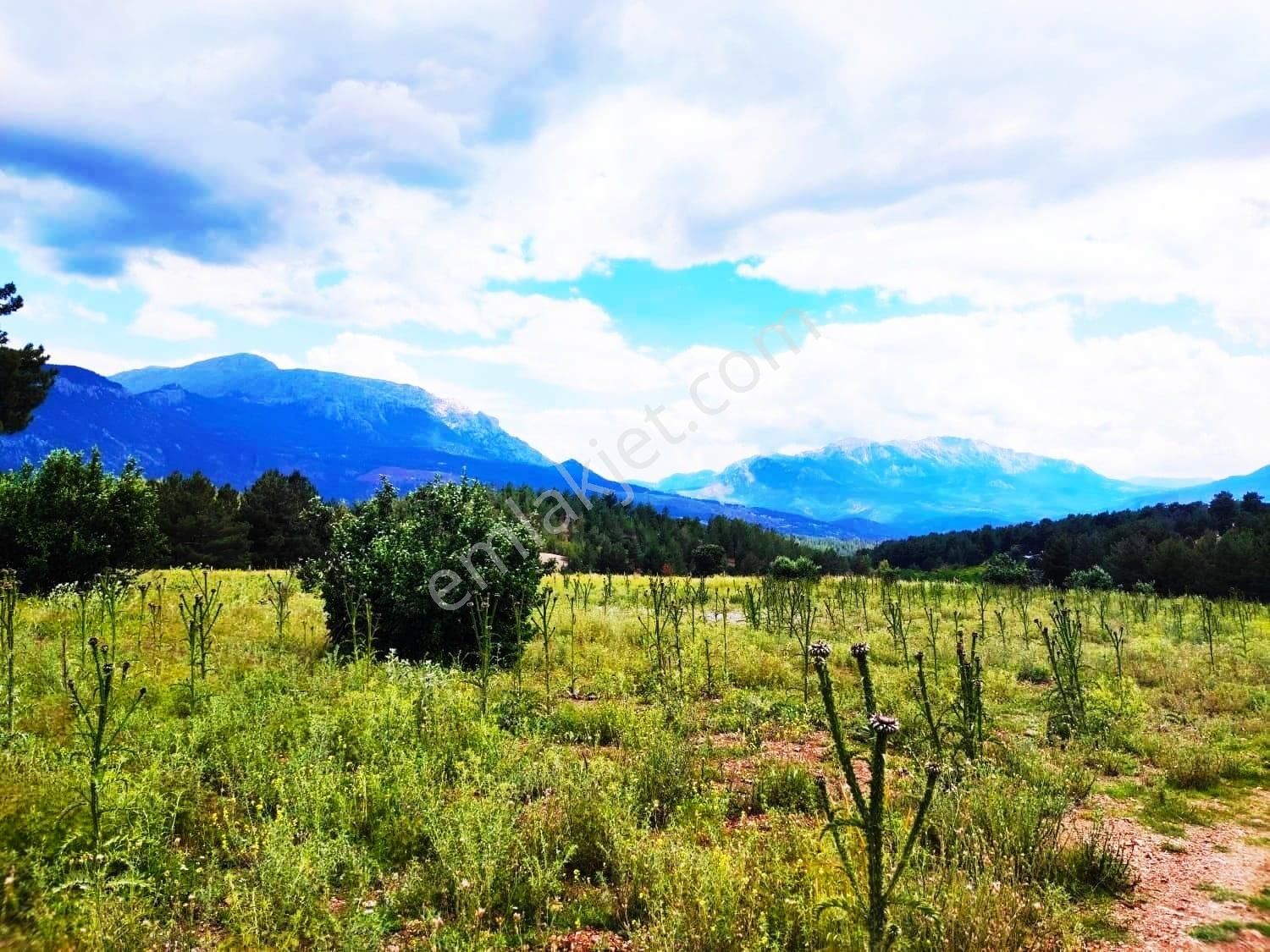 Kar Emlaktan Alpu Yaylasında 480 M2 Satılık Arsa - Görsel 14