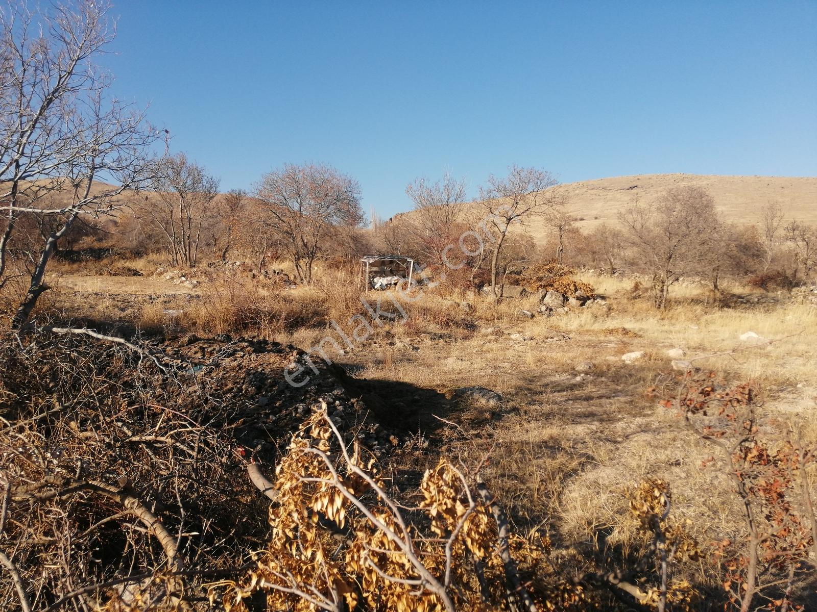 Acil Toros Emlak'tan Hançerli 2515 M2 Satılık Yolu Mevcut Bahçe - Görsel 19