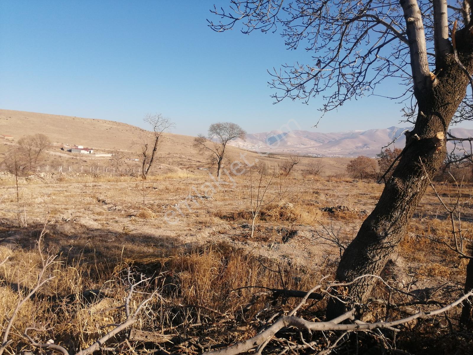 Acil Toros Emlak'tan Hançerli 2515 M2 Satılık Yolu Mevcut Bahçe - Görsel 27