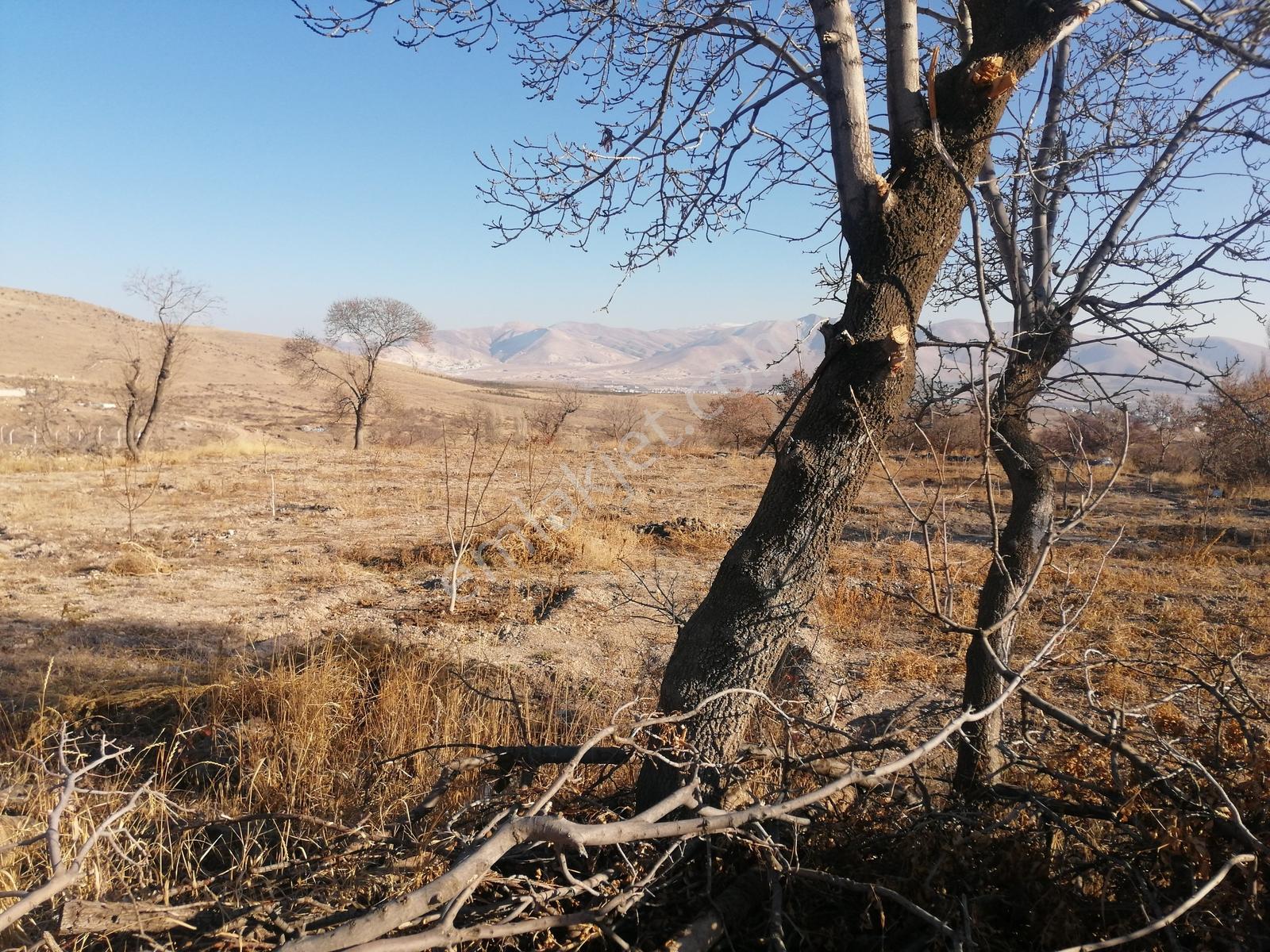 Acil Toros Emlak'tan Hançerli 2515 M2 Satılık Yolu Mevcut Bahçe - Görsel 33