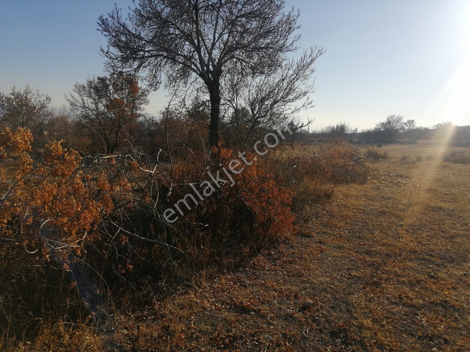 Acil Toros Emlak'tan Hançerli 2515 M2 Satılık Yolu Mevcut Bahçe - Görsel 21