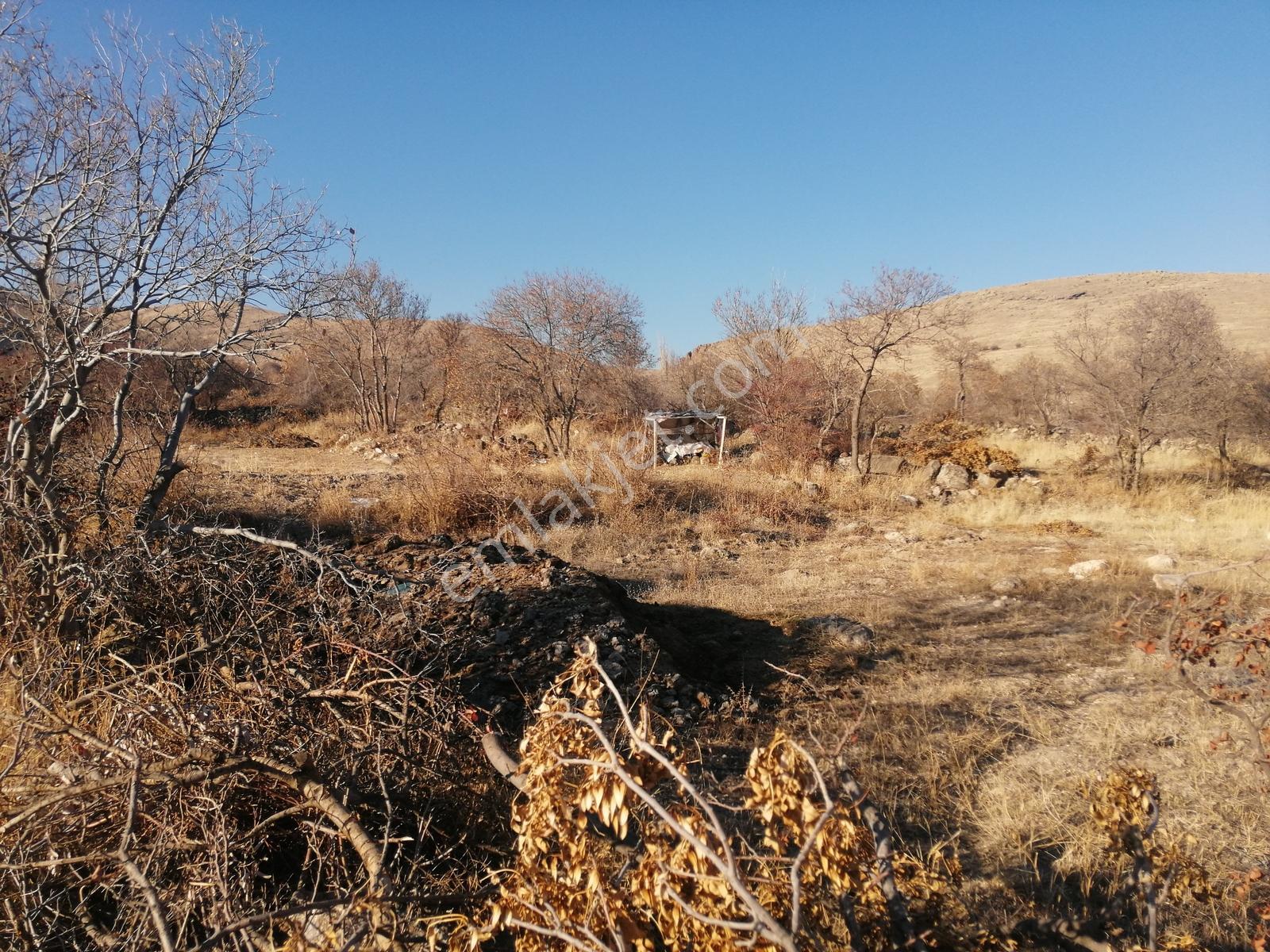 Acil Toros Emlak'tan Hançerli 2515 M2 Satılık Yolu Mevcut Bahçe - Görsel 3