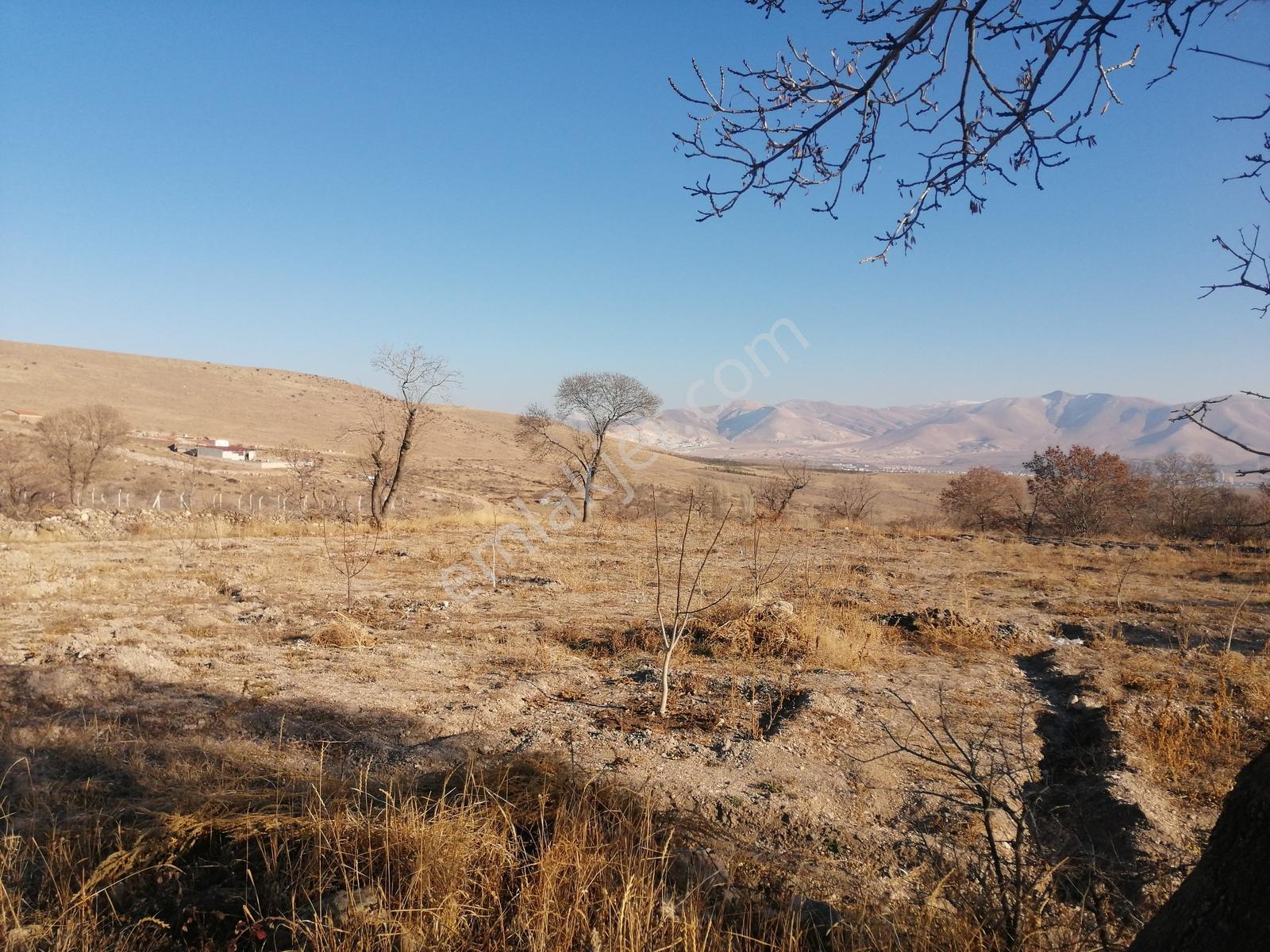 Acil Toros Emlak'tan Hançerli 2515 M2 Satılık Yolu Mevcut Bahçe - Görsel 29