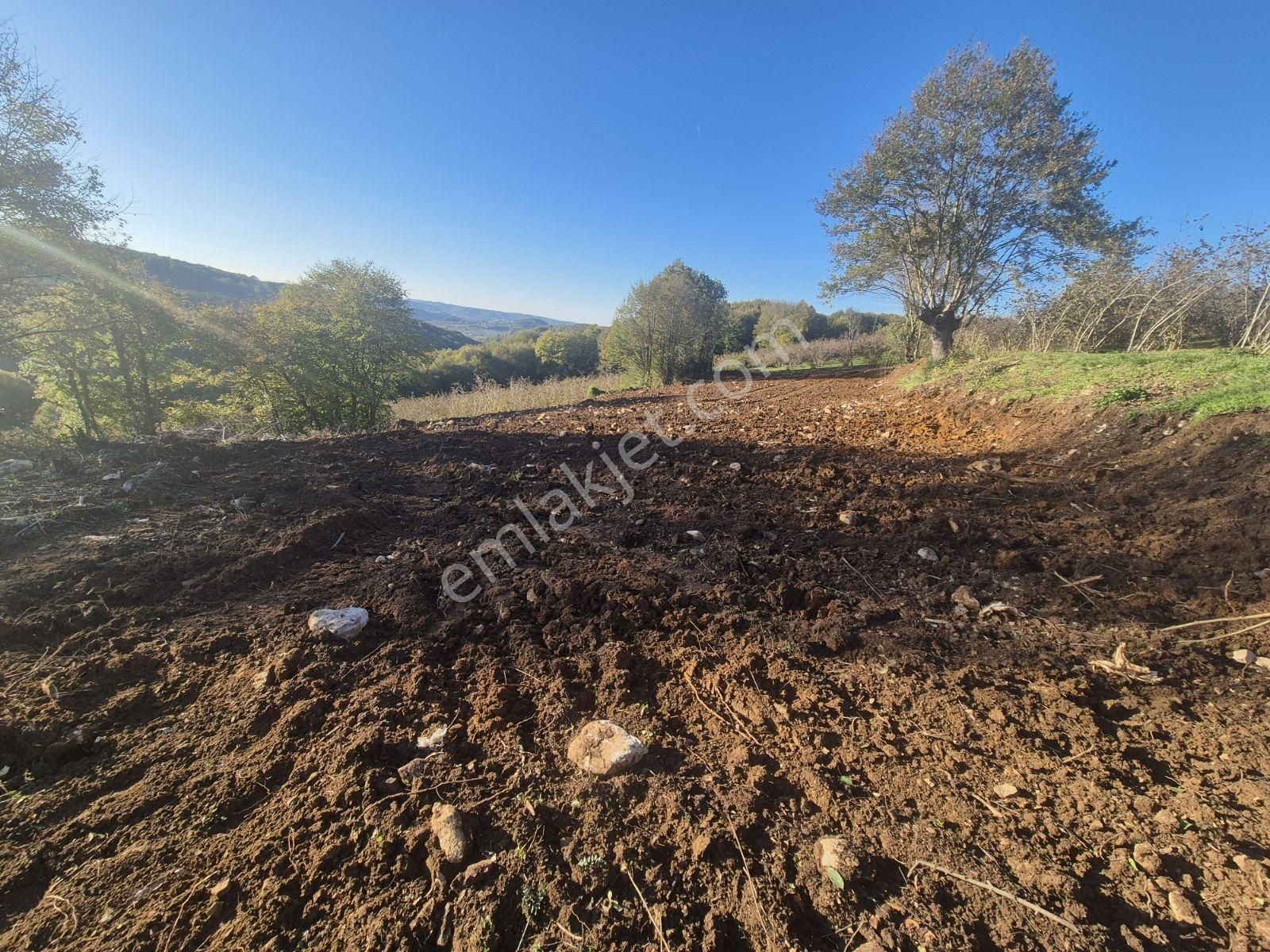 Kandıra Yağcılar'da 16.535.m2 Kırmalar Mevkin'de Satılık Arsa... - Görsel 2