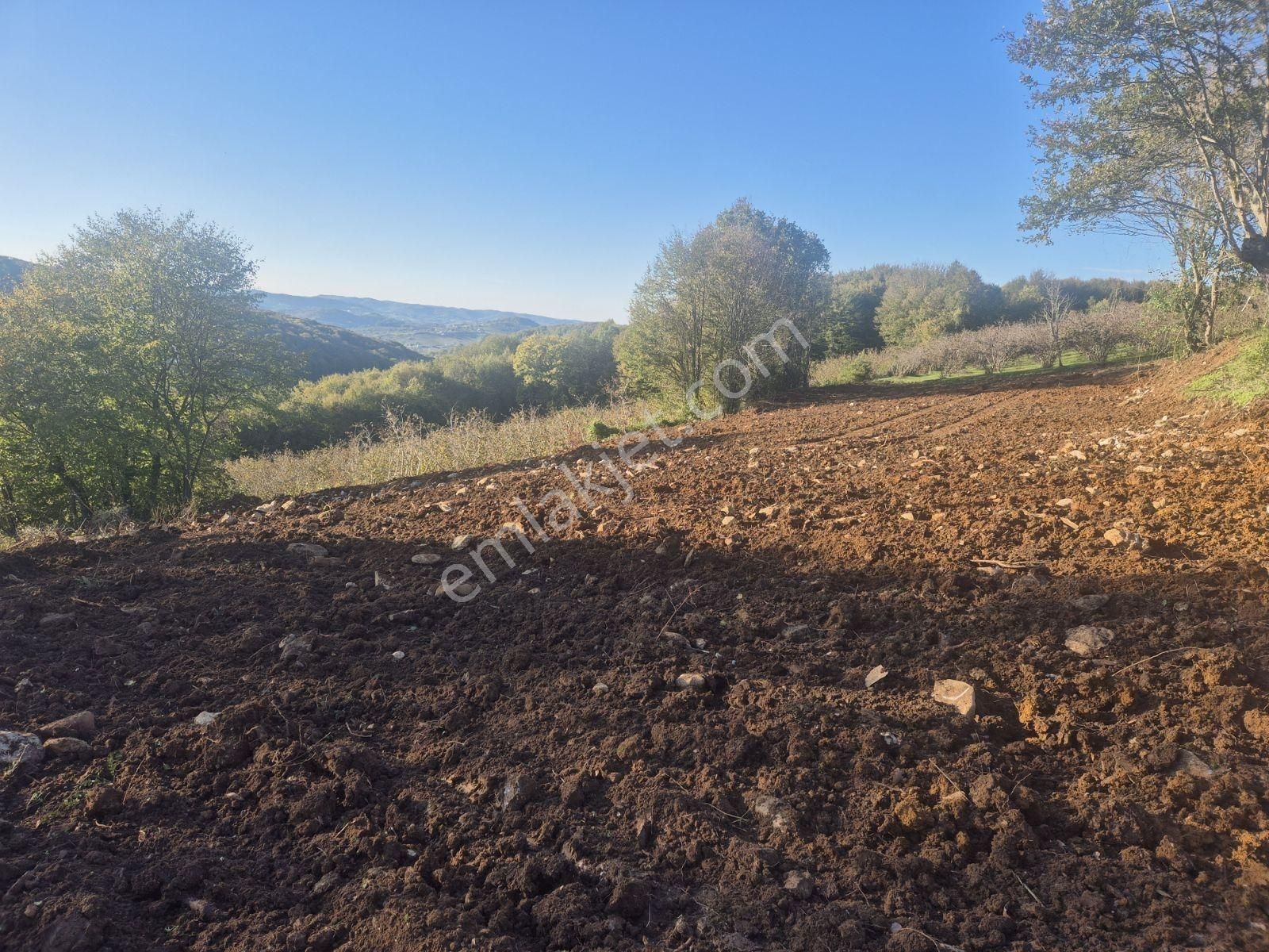 Kandıra Yağcılar'da 16.535.m2 Kırmalar Mevkin'de Satılık Arsa... - Görsel 8