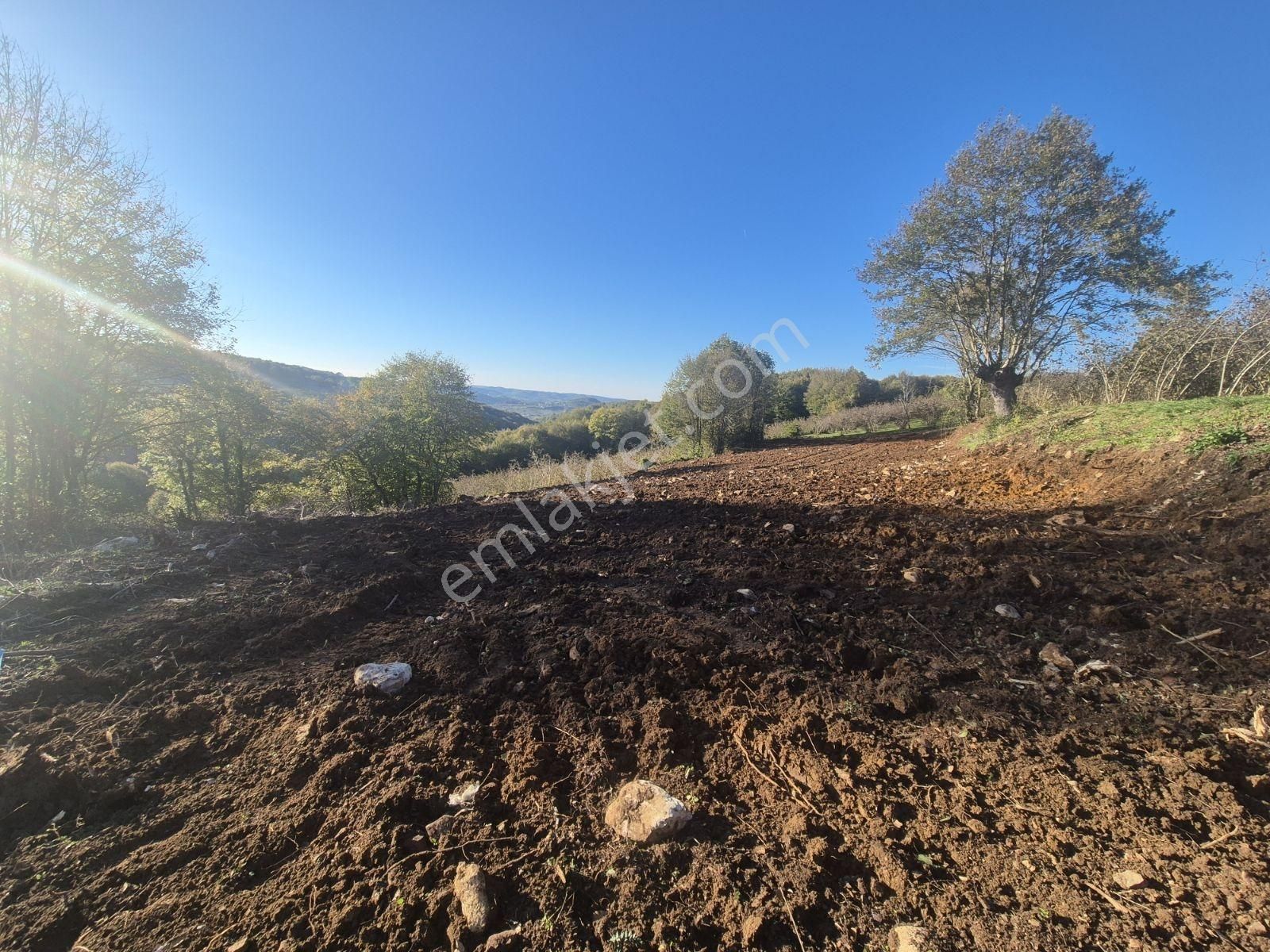 Kandıra Yağcılar'da 16.535.m2 Kırmalar Mevkin'de Satılık Arsa... - Görsel 10