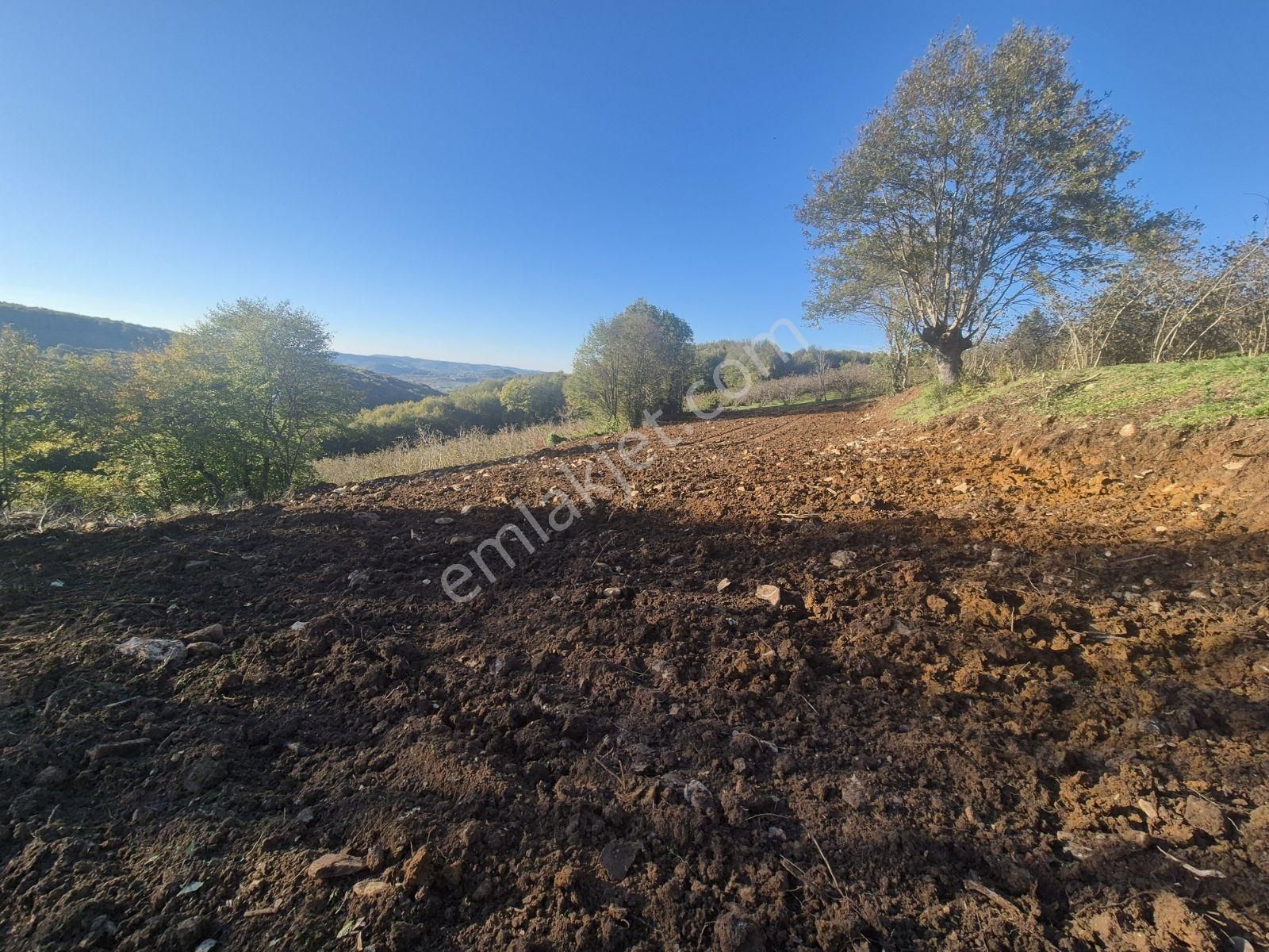 Kandıra Yağcılar'da 16.535.m2 Kırmalar Mevkin'de Satılık Arsa... - Görsel 3