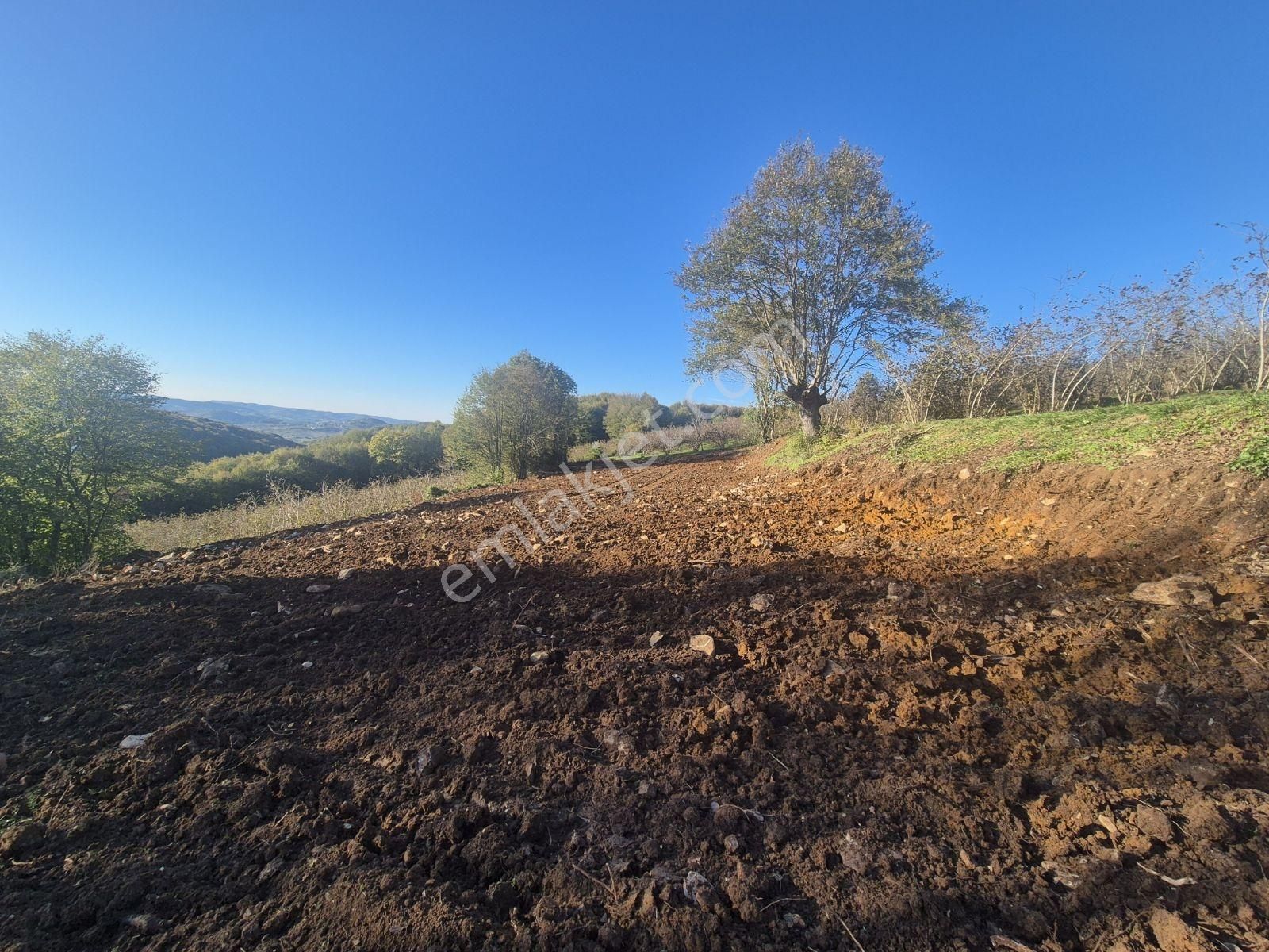 Kandıra Yağcılar'da 16.535.m2 Kırmalar Mevkin'de Satılık Arsa... - Görsel 13