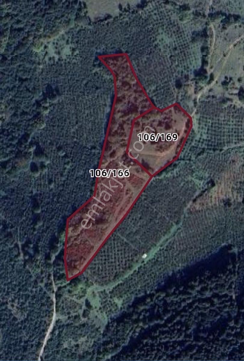 Kandıra Yağcılar'da 16.535.m2 Kırmalar Mevkin'de Satılık Arsa... - Görsel 21