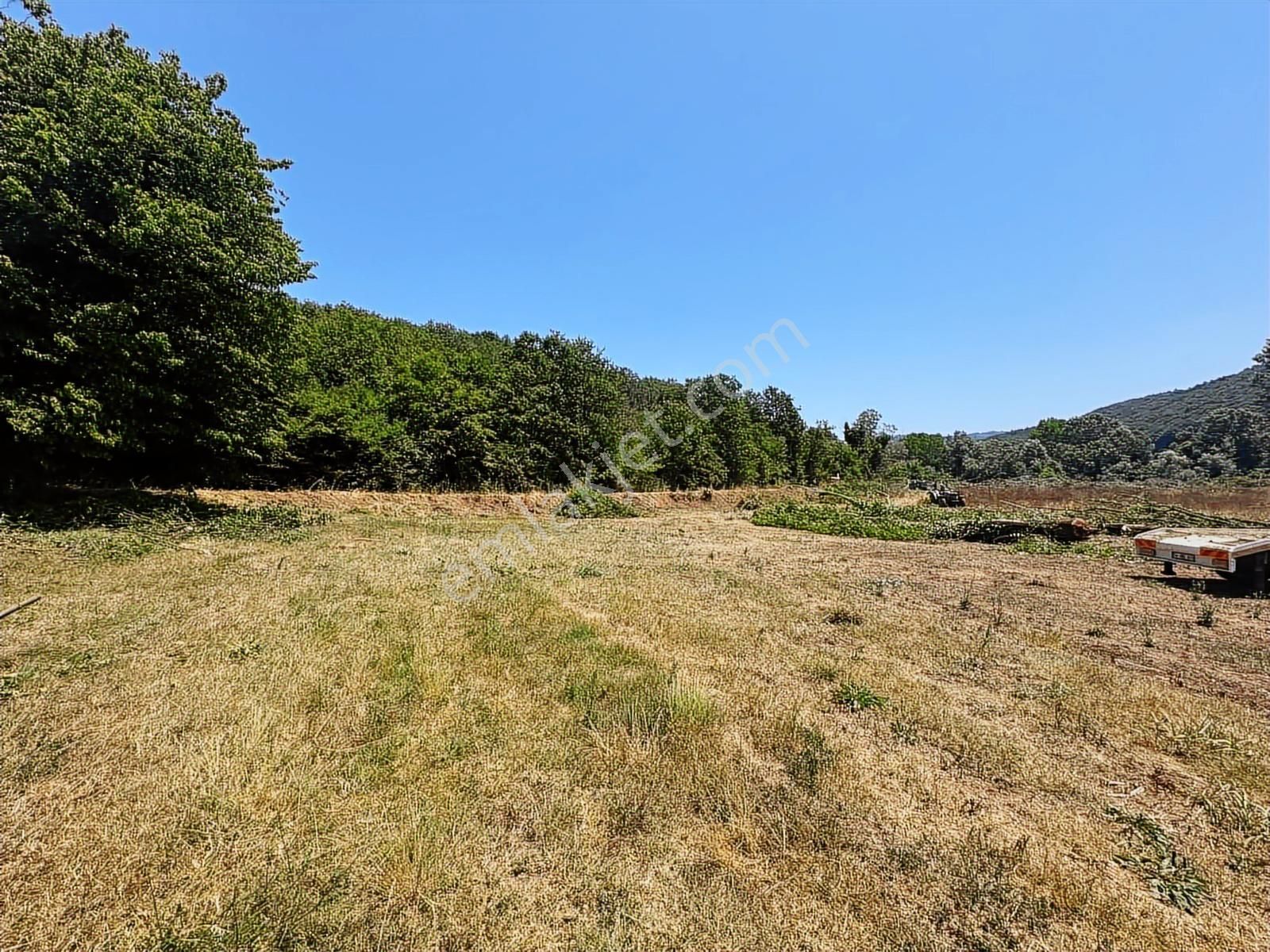 Sinanoğlunda Ormana Ve Nehire Sınır Dümdüz Tarla - Görsel 25