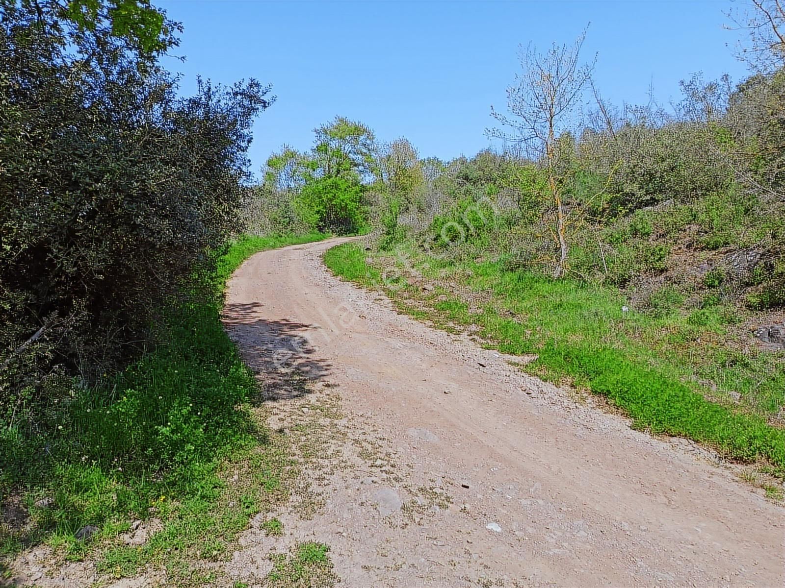 Sinanoğlunda Ormana Ve Nehire Sınır Dümdüz Tarla - Görsel 16