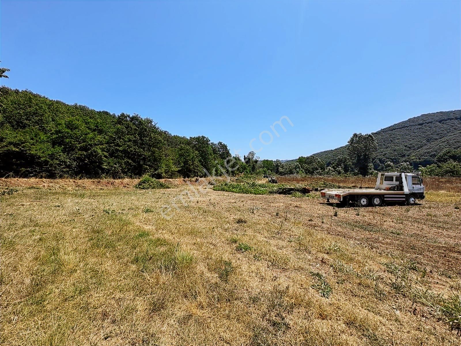 Sinanoğlunda Ormana Ve Nehire Sınır Dümdüz Tarla - Görsel 23