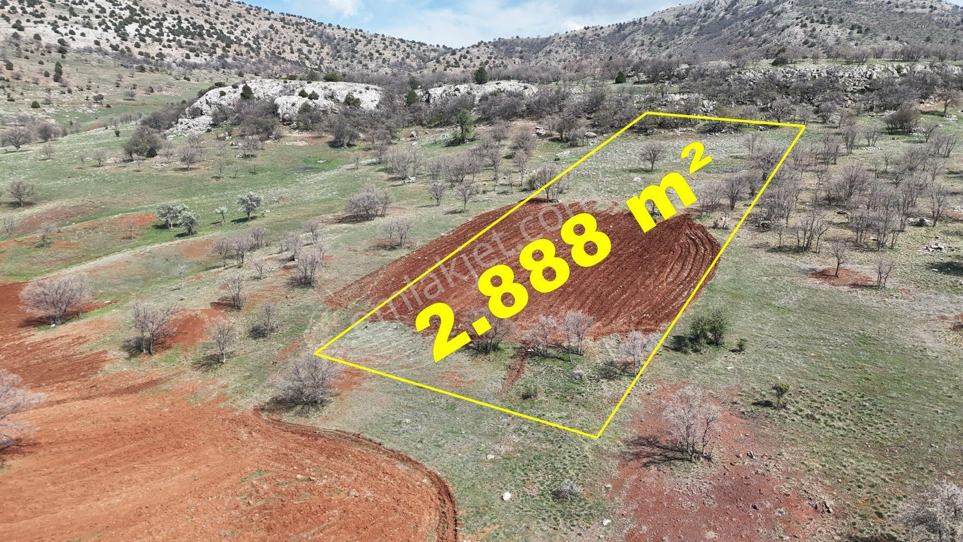 Konya / Güneysınır / Gürağaç Mahallesinde 2.888 M² Müstakil Tapulu Tarla - Görsel 3