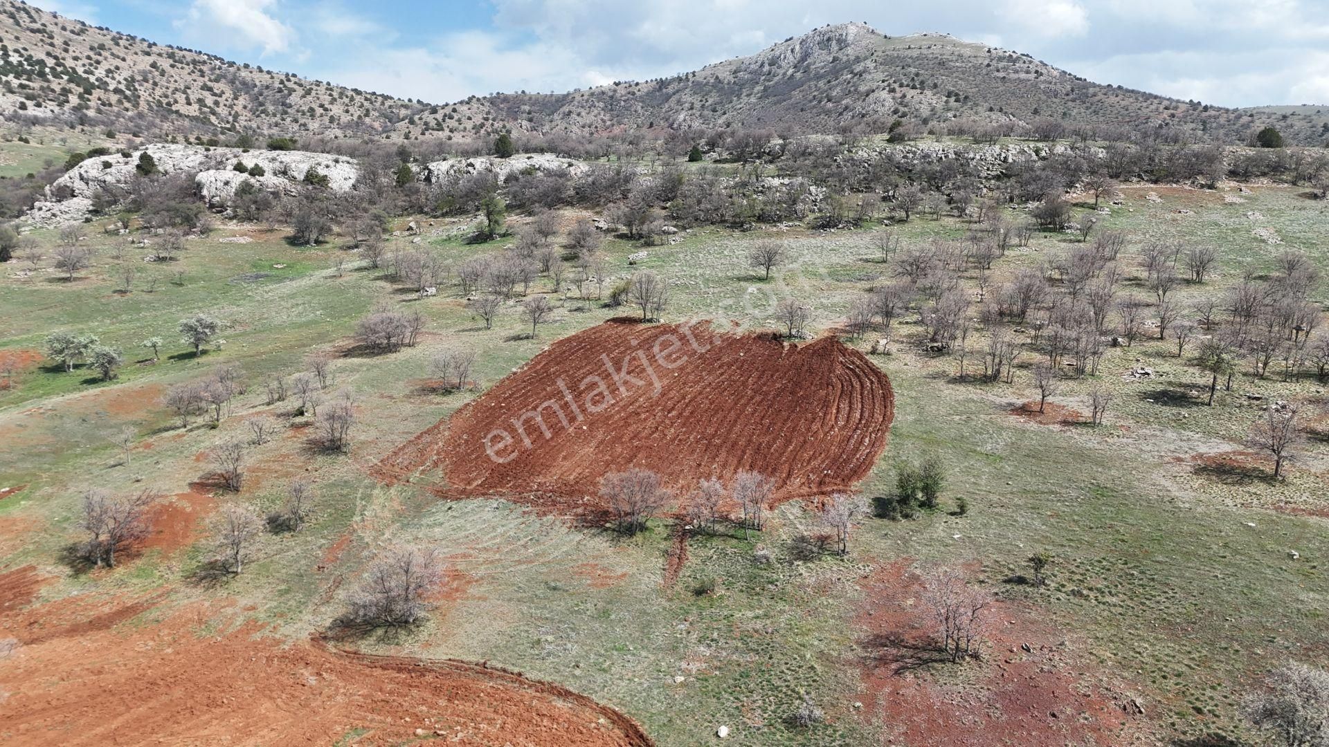 Konya / Güneysınır / Gürağaç Mahallesinde 2.888 M² Müstakil Tapulu Tarla - Görsel 5