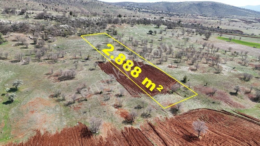 Konya / Güneysınır / Gürağaç Mahallesinde 2.888 M² Müstakil Tapulu Tarla - Görsel 7