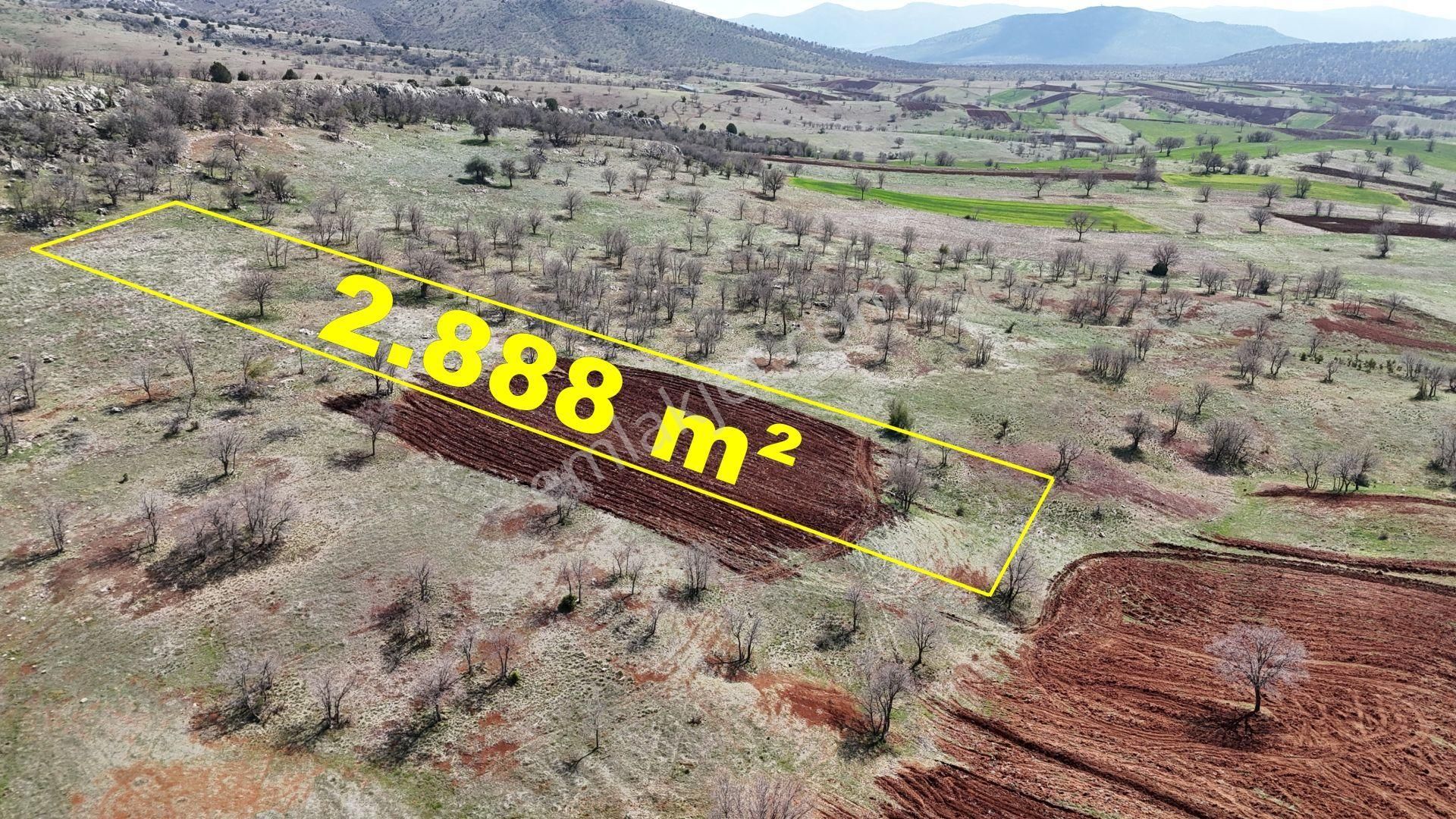 Konya / Güneysınır / Gürağaç Mahallesinde 2.888 M² Müstakil Tapulu Tarla