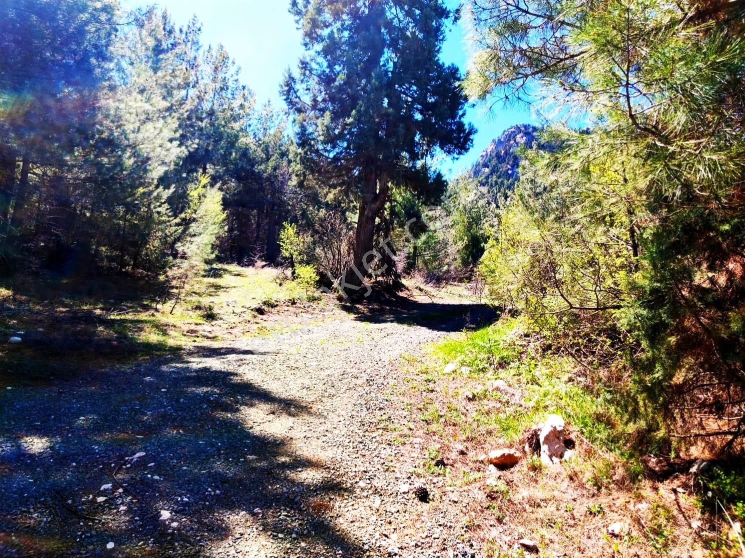 Kar Emlaktan Eskikonacıkta İmarlı İfrazlı 240 M2 Satılık Arsa - Görsel 3