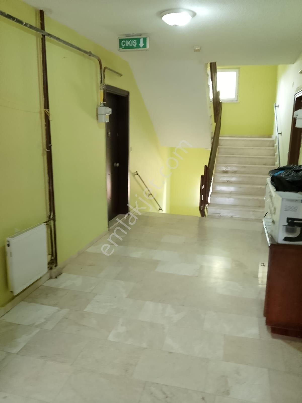 Aramayın Bu Bölge De Yok!!!!!!!! T E K D A İ R E - Görsel 2