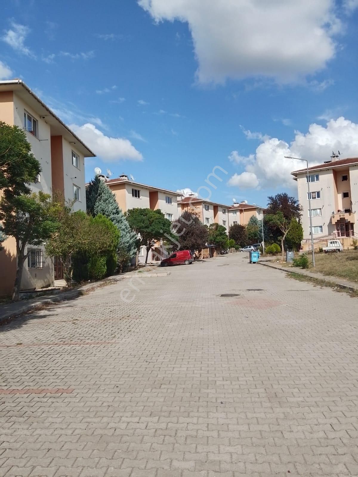 Aramayın Bu Bölge De Yok!!!!!!!! T E K D A İ R E