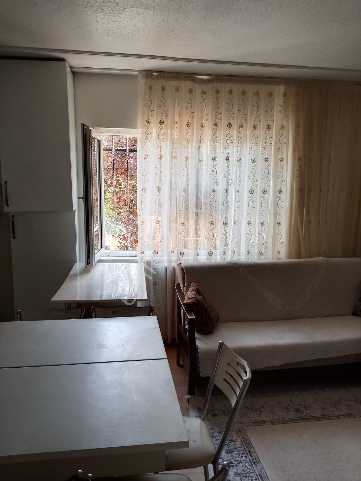 Aramayın Bu Bölge De Yok!!!!!!!! T E K D A İ R E - Görsel 6