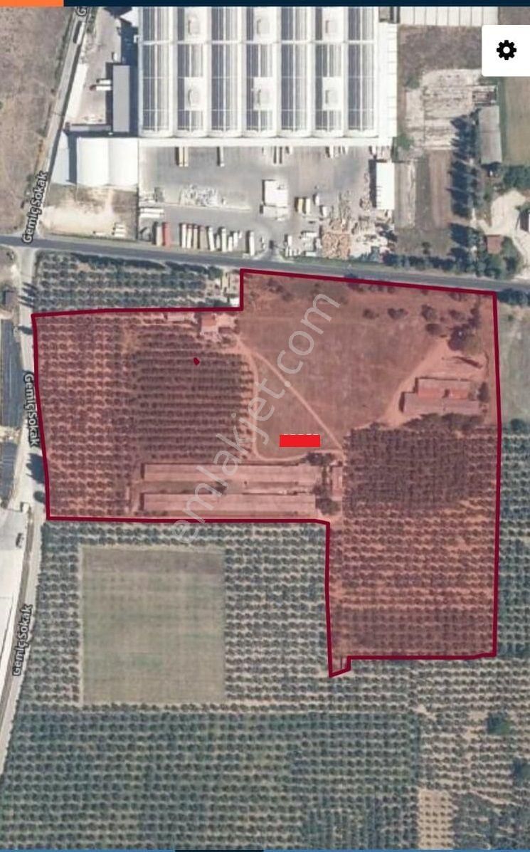 Bursa Orhangazi Gemiç"te Satılık Çiflik Büyük -küçük Baş Ahır Ev Arsa