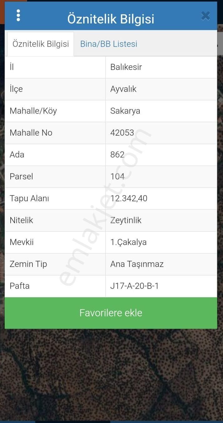 Balıkesir Ayvalık Sakarya"da Satılık Deniz Manzaralı 12.342m2 İmara Yakın Harika Zeytinlik - Görsel 6