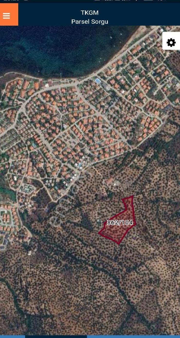 Balıkesir Ayvalık Sakarya"da Satılık Deniz Manzaralı 12.342m2 İmara Yakın Harika Zeytinlik - Görsel 4
