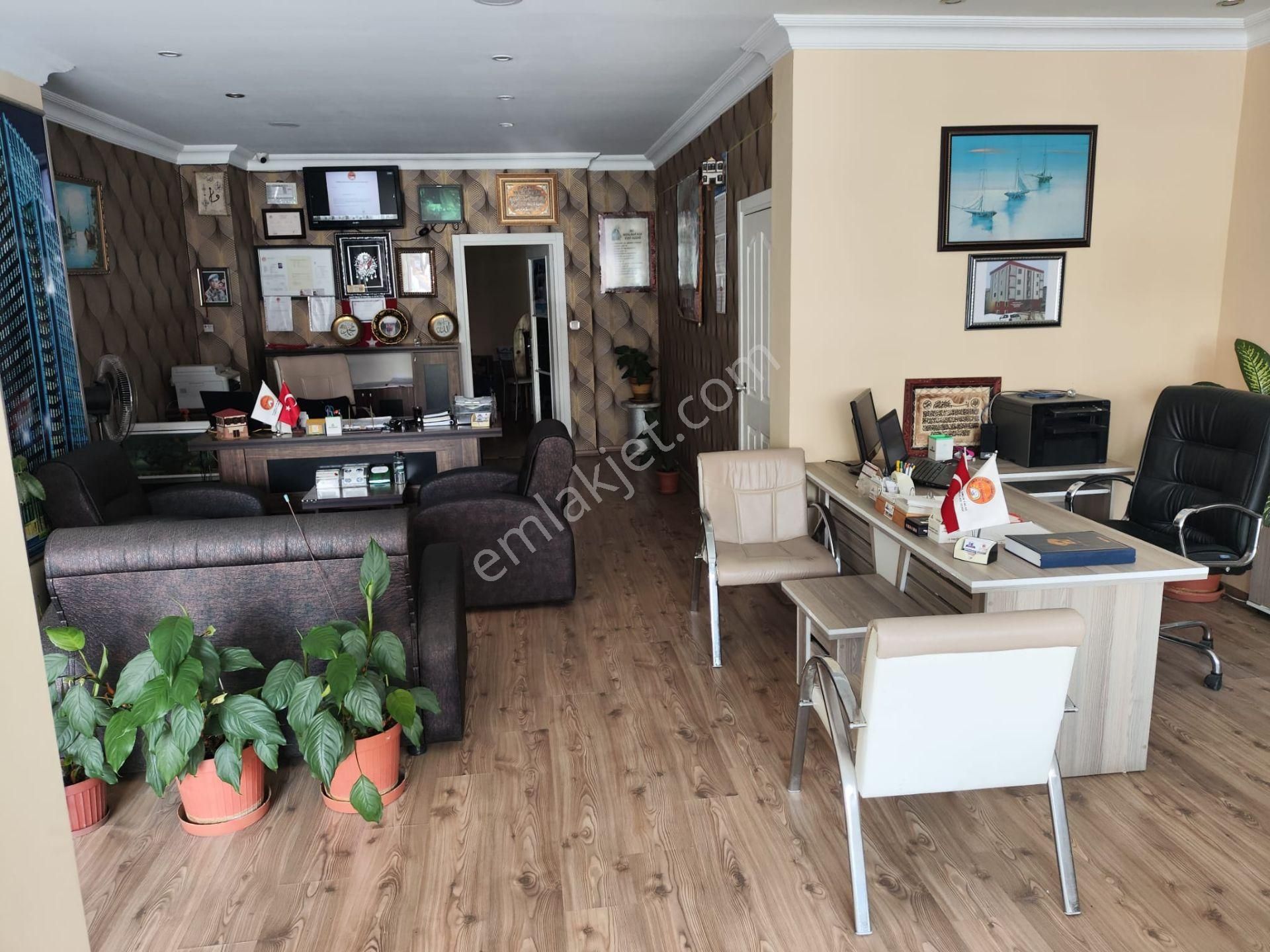 Balıkesir Ayvalık Sakarya"da Satılık Deniz Manzaralı 12.342m2 İmara Yakın Harika Zeytinlik - Görsel 32