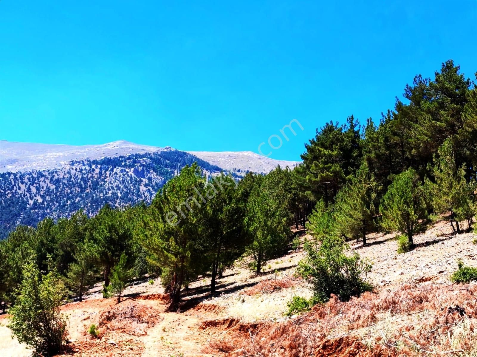 Kar Emlaktan Yenikonacık Efes Sitesi Yanı 500 M2 Satılık Arsa - Görsel 4