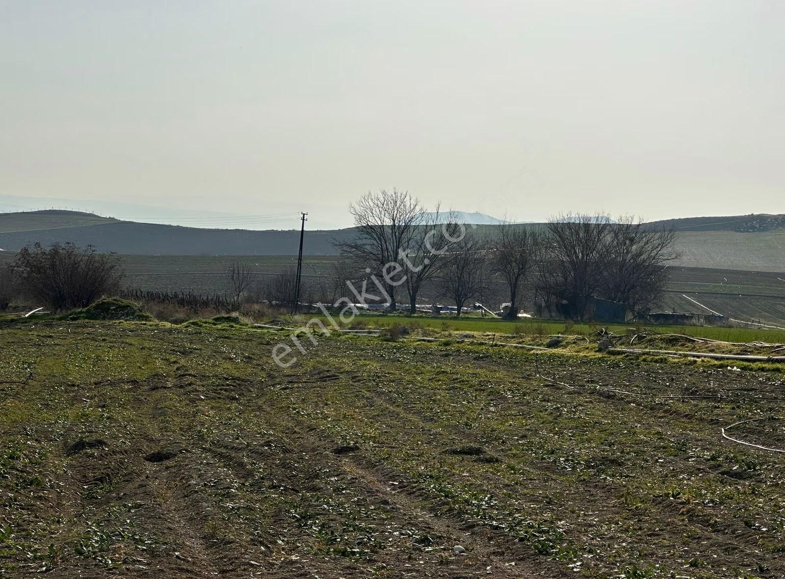 Beypazarı Kuyucak'ta Su Kuyulu Yol Cepheli Satılık Tarla - Görsel 2