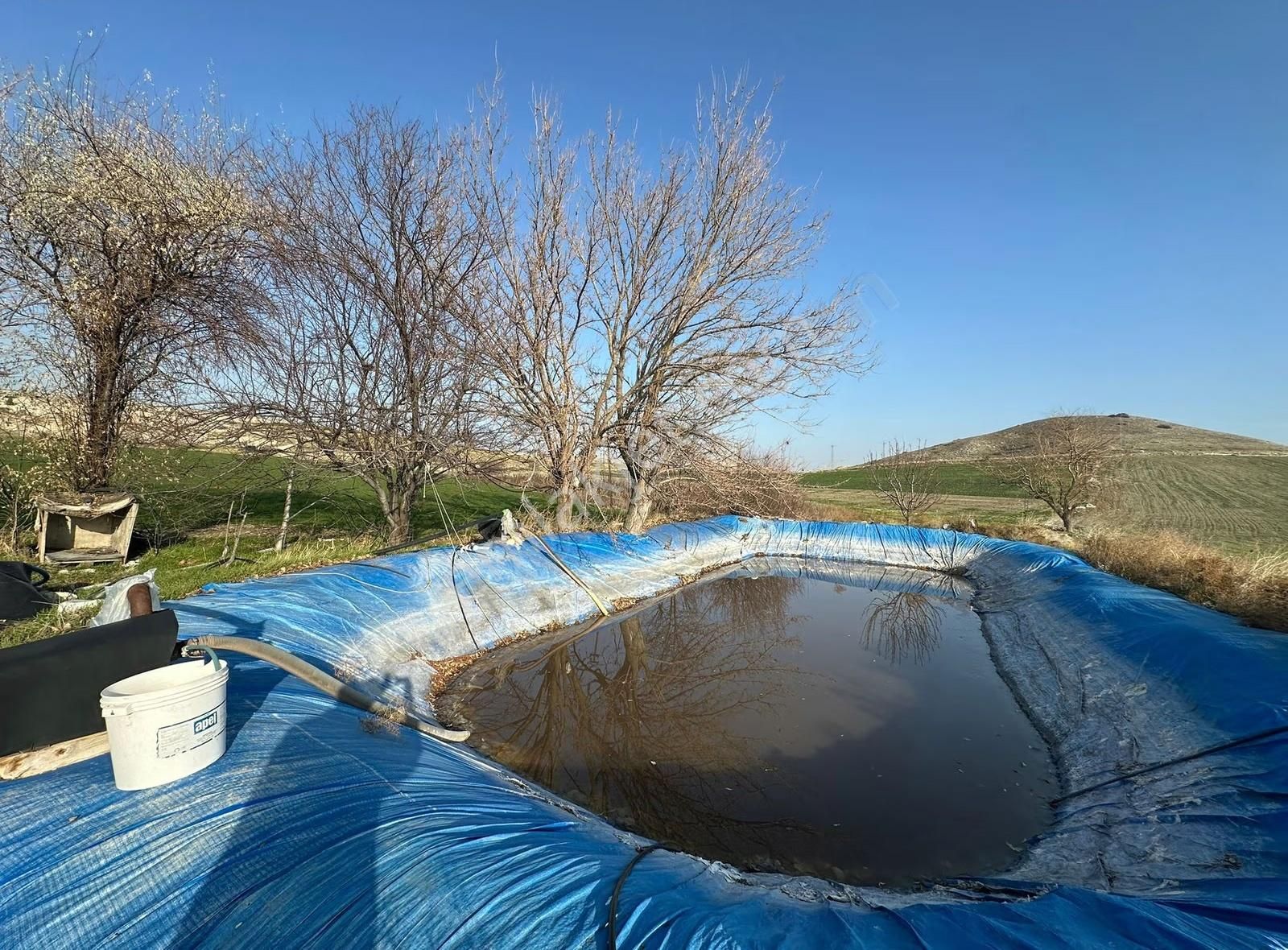 Beypazarı Kuyucak'ta Su Kuyulu Yol Cepheli Satılık Tarla - Görsel 16
