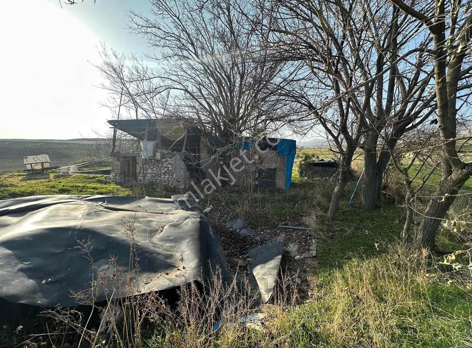Beypazarı Kuyucak'ta Su Kuyulu Yol Cepheli Satılık Tarla - Görsel 11