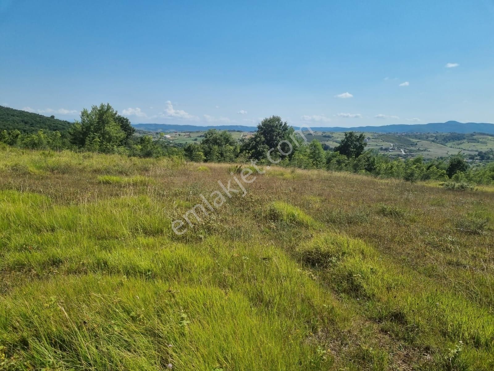 Kandıra Yağcılar'da 25.745.m2 Kırmalar Mevkin'de Satılık Arsa.. - Görsel 29