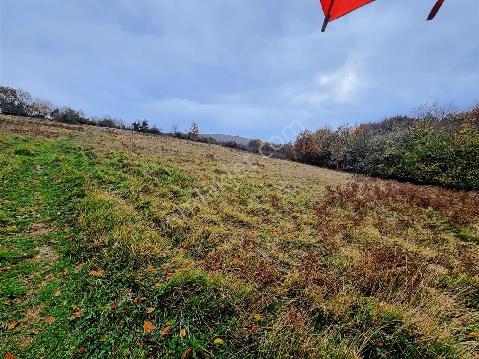 Kandıra Yağcılar'da 25.745.m2 Kırmalar Mevkin'de Satılık Arsa.. - Görsel 7