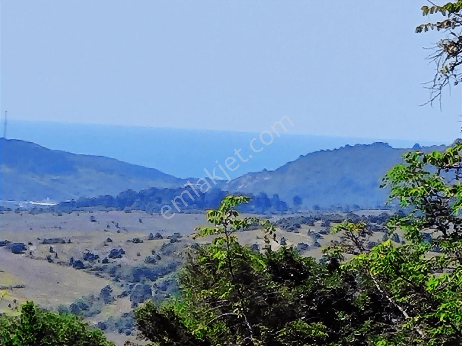 Kandıra Yağcılar'da 25.745.m2 Kırmalar Mevkin'de Satılık Arsa..