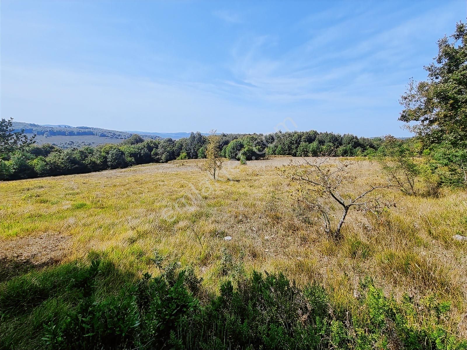 Kandıra Yağcılar'da 25.745.m2 Kırmalar Mevkin'de Satılık Arsa.. - Görsel 8