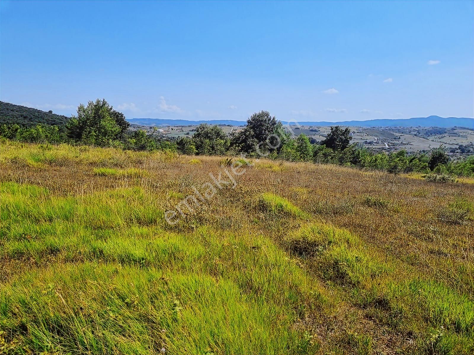 Kandıra Yağcılar'da 25.745.m2 Kırmalar Mevkin'de Satılık Arsa.. - Görsel 3