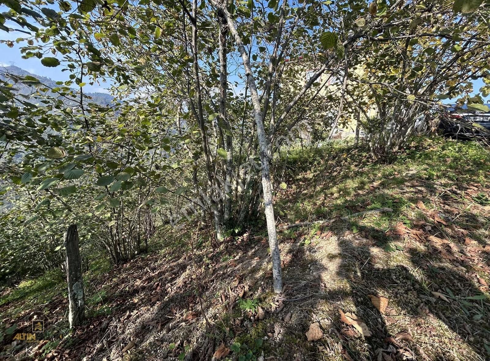 Trabzonda Satılık İki Katlı Müstakil Ev Ve Arsası(takasa Uygun) - Görsel 4