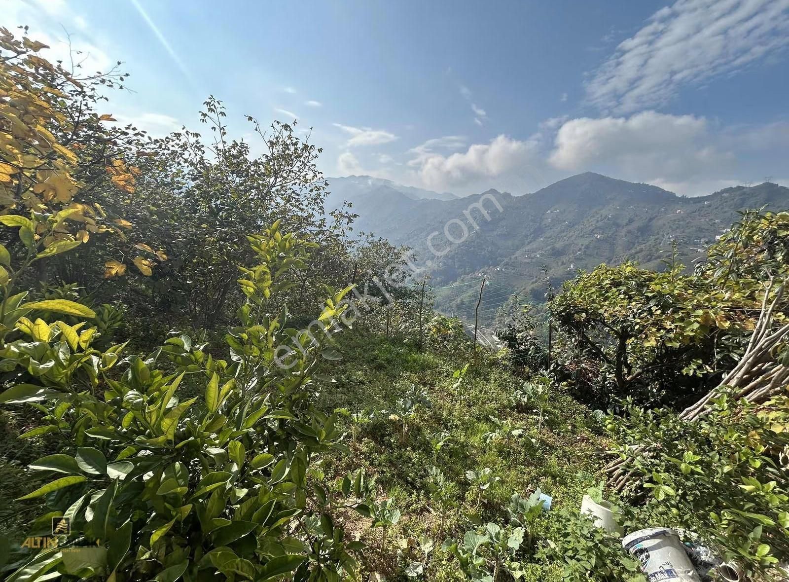 Trabzonda Satılık İki Katlı Müstakil Ev Ve Arsası(takasa Uygun) - Görsel 12