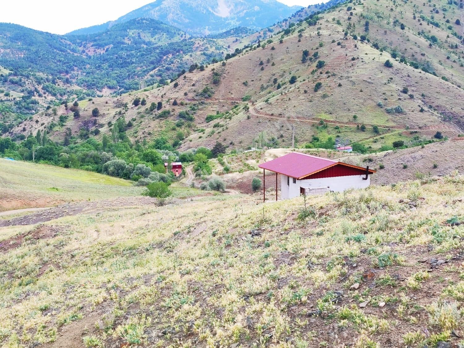 Kar Emlaktan Kamışlı Yaylasında İmara Uygun 1650m2 Satılık Tarla - Görsel 5