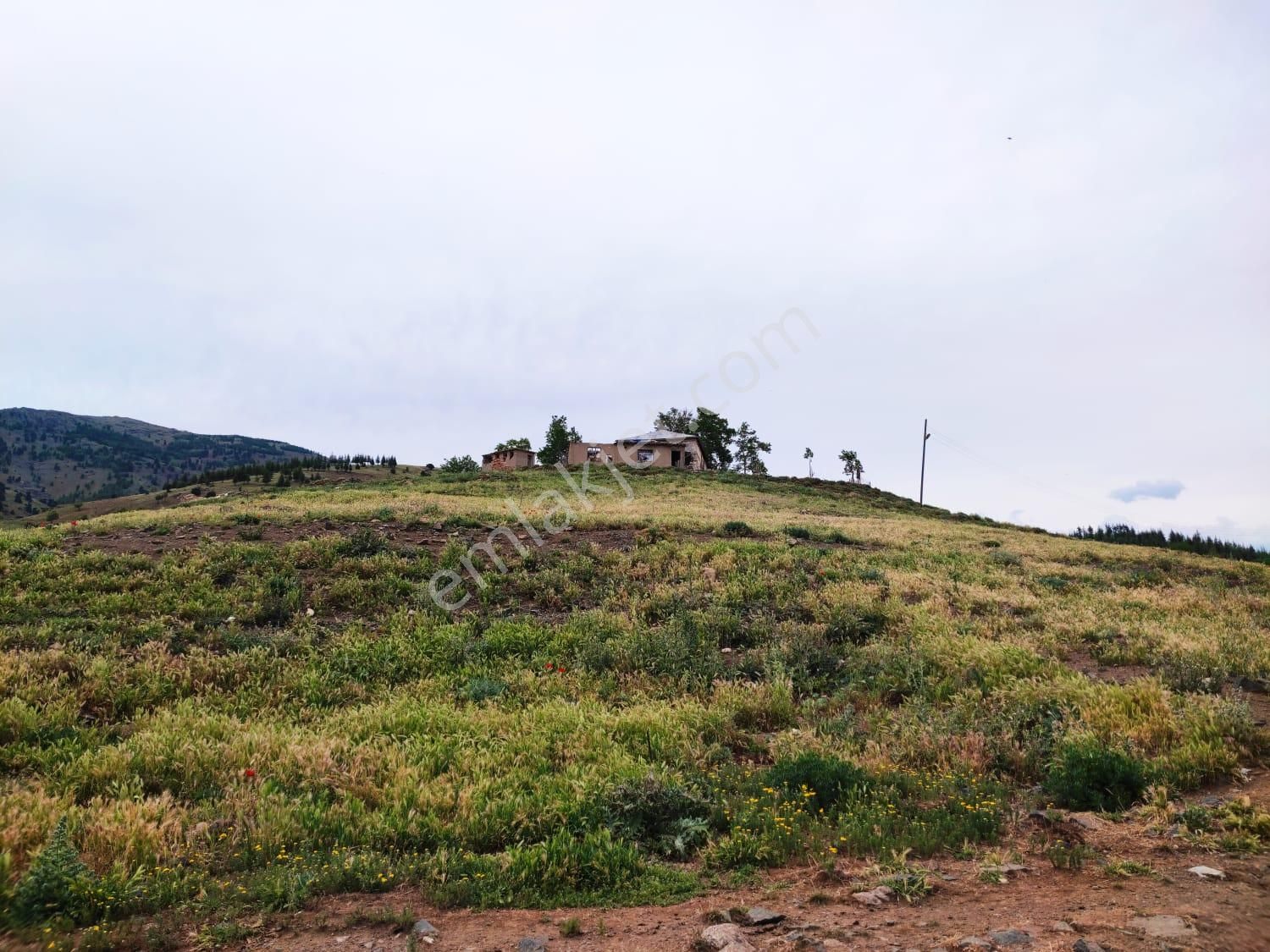Kar Emlaktan Kamışlı Yaylasında İmara Uygun 1650m2 Satılık Tarla - Görsel 30