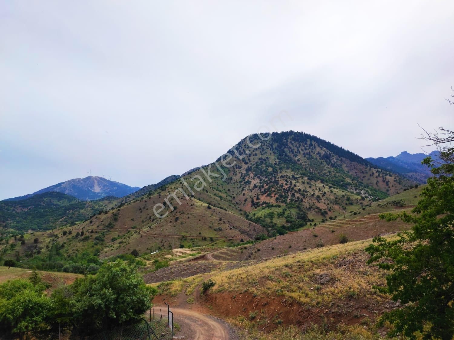 Kar Emlaktan Kamışlı Yaylasında İmara Uygun 1650m2 Satılık Tarla - Görsel 13
