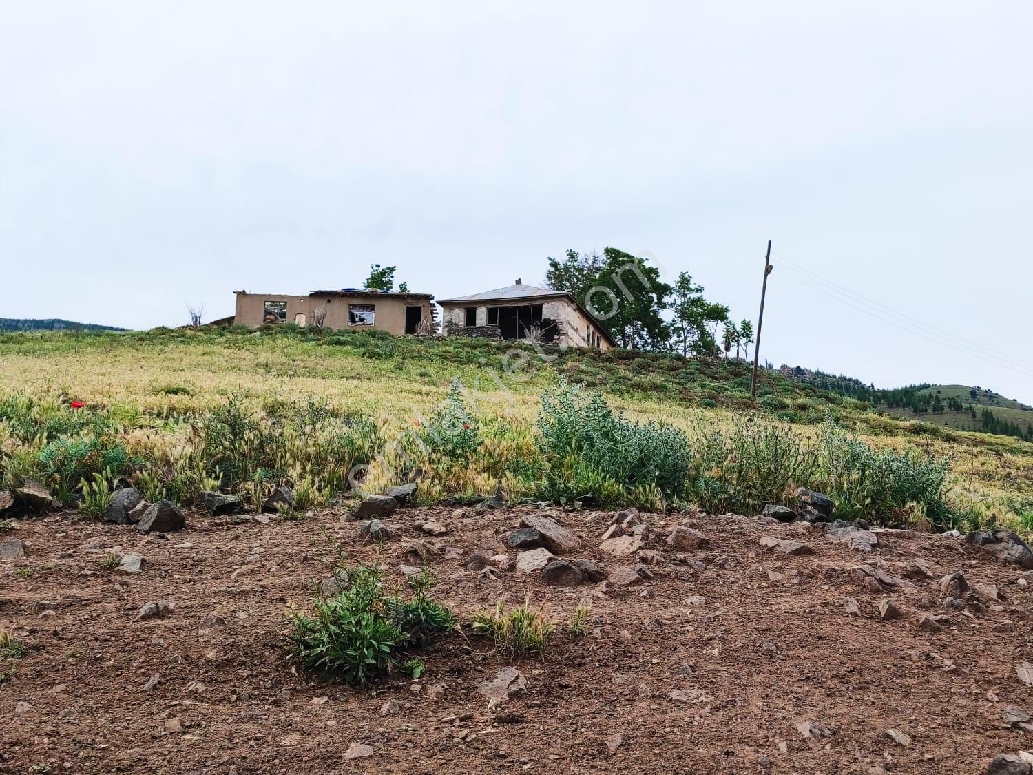 Kar Emlaktan Kamışlı Yaylasında İmara Uygun 1650m2 Satılık Tarla - Görsel 10