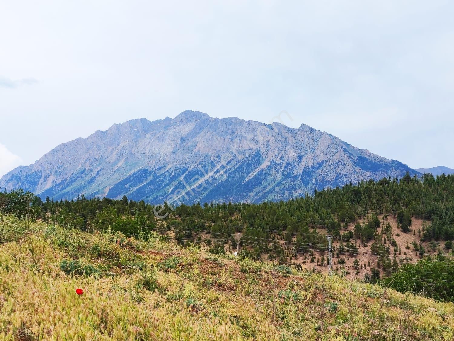Kar Emlaktan Kamışlı Yaylasında İmara Uygun 1650m2 Satılık Tarla - Görsel 19